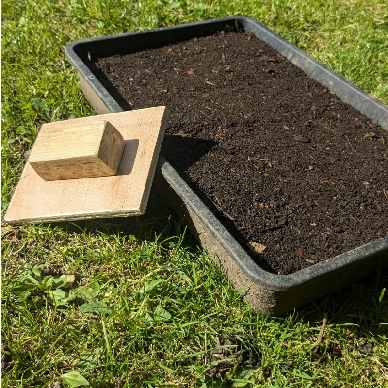 Handmade Wooden Soil Block Maker – Seed Starting Tool by Foxglove Home