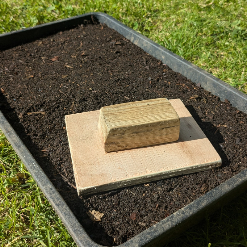 Handmade Wooden Soil Block Maker – Seed Starting Tool by Foxglove Home