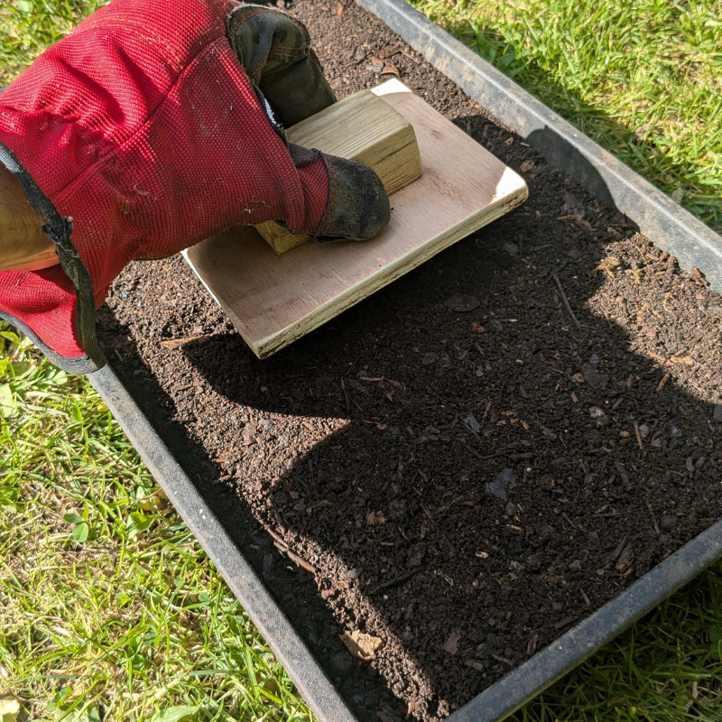 Handmade Wooden Soil Block Maker – Seed Starting Tool by Foxglove Home