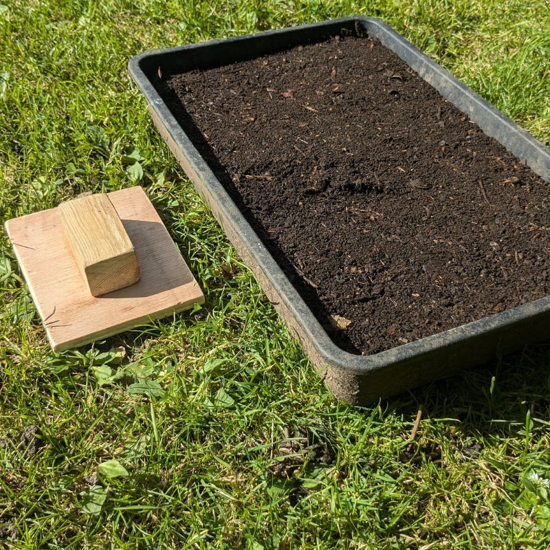 Handmade Wooden Soil Block Maker – Seed Starting Tool by Foxglove Home
